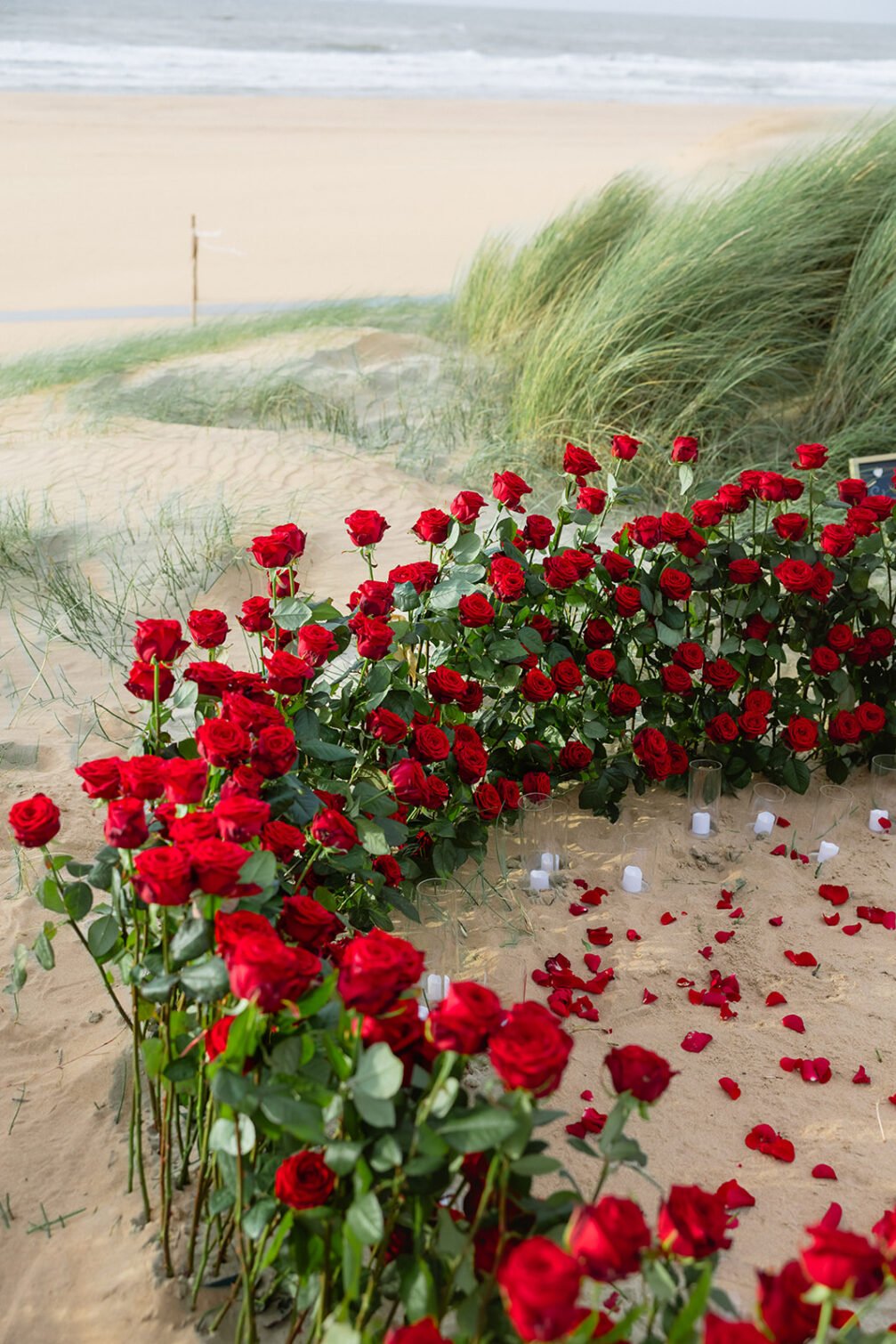 Beach proposal decoration with red roses, scattered rose petals and candles on the sand